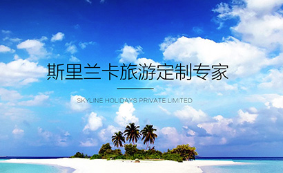 梅縣加盟網(wǎng)站服務(wù)好